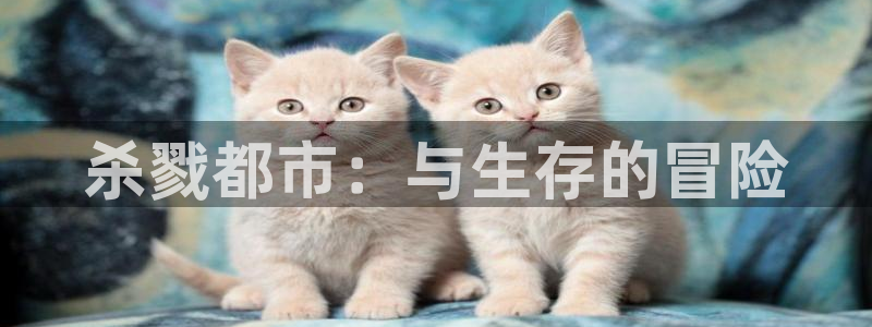 动漫58动漫网：杀戮都市：与生存的冒险