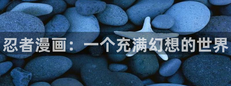 58动漫网站：忍者漫画：一个充满幻想的世界