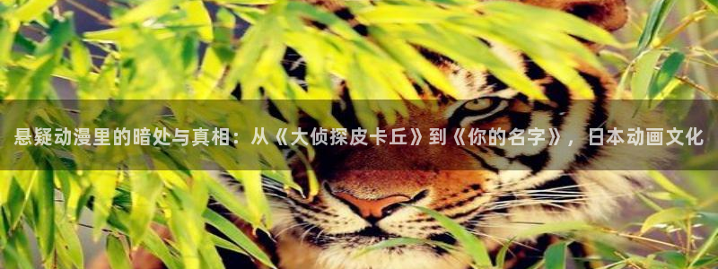 58动漫大全：悬疑动漫里的暗处与真相：从《大侦探皮卡丘》到《你的名字》，日本动画文化